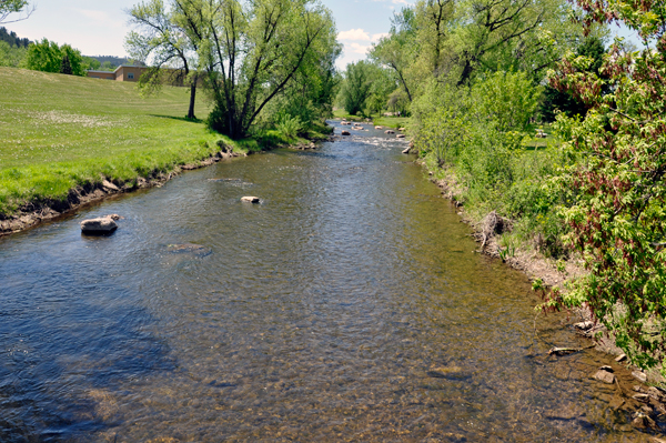 view from the bridge